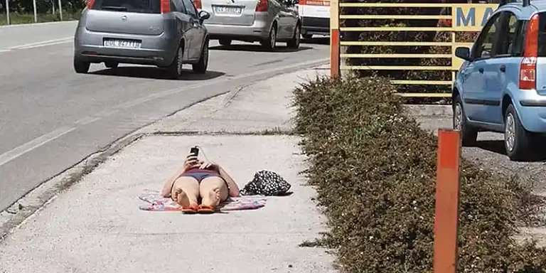 immagine per Fratelli Calgaro Venetudine