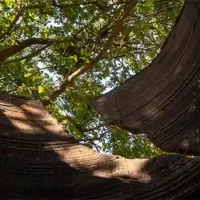 immagine per Giuseppe Spagnulo CUBO