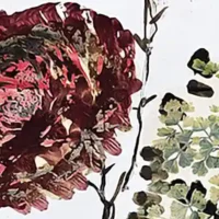 immagine per Antonio Marras Valentina Bonomo