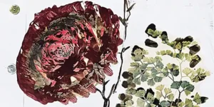 immagine per Antonio Marras Valentina Bonomo